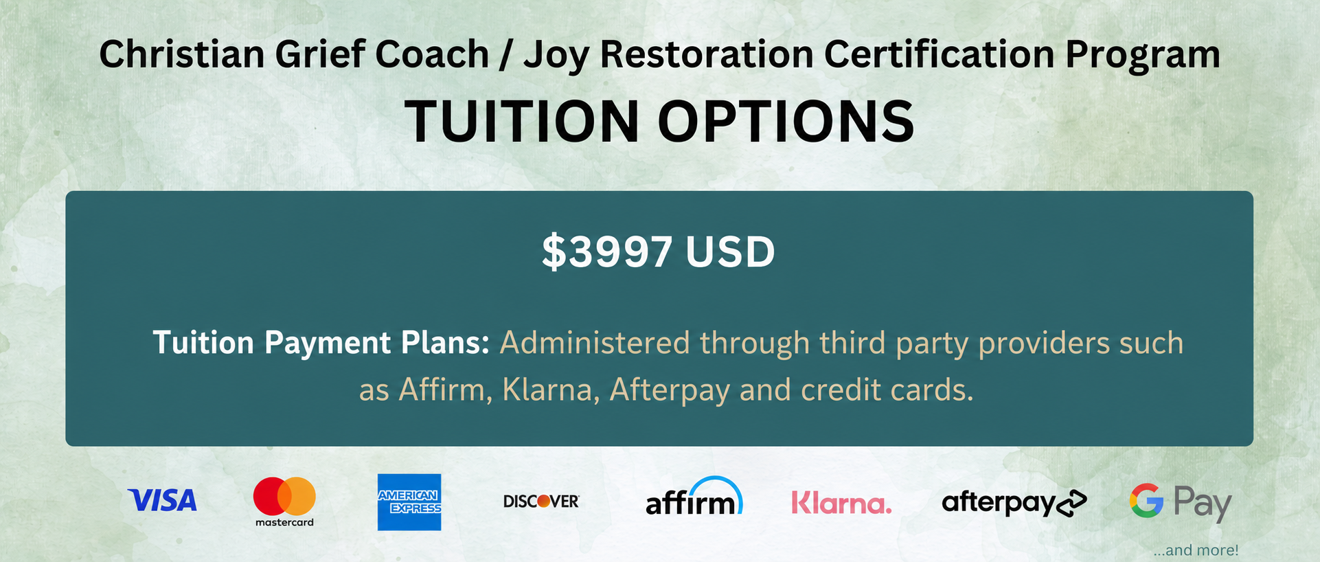 3997 professional path tuition options image